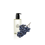 گلدان آپارتمانی یوکا بدون ساقه - تصویر 2